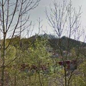 obrazek: avatar PRAGUE COLLEGE OF CLASSICAL HOMEOPATHY