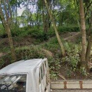 obrazek: avatar PROFESNÍ KOMORA SOCIÁLNÍCH PRACOVNÍKŮ z.s.