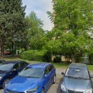 obrazek: avatar HOZMANOVÁ RADKA