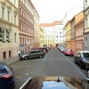 obrazek: avatar PLATILOVÁ VERONIKA