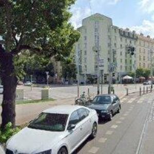 obrazek: avatar ZUZINICK.CZ