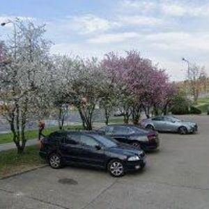 obrazek: avatar JAK NA VYSOKOU