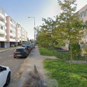 obrazek: avatar MEDLÍKOVÁ OLGA PaedDr.