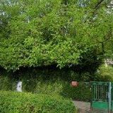 ŠETKA-VZDĚLÁVÁNÍ DOSPĚLÝCH