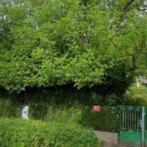 obrazek: avatar ŠETKA-VZDĚLÁVÁNÍ DOSPĚLÝCH