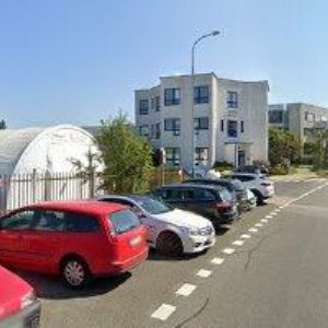 obrazek: avatar BABY SIGNS