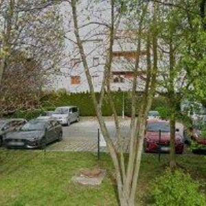 obrazek: avatar MANTRA EDUCATION s.r.o.