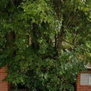 obrazek: avatar EXPERTIS PRAHA spol. s r.o.