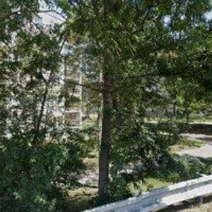 obrazek: avatar PÍSECKÁ ILONA Mgr.