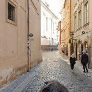 obrazek: avatar KOMORA EXPERTŮ RUČNÍHO PÍSMA