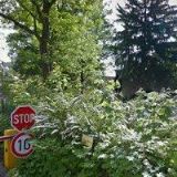 MEZINÁRODNÍ BAPTISTICKÝ TEOLOGICKÝ SEMINÁŘ EVROPSKÉ BAPTISTICKÉ FEDERACE, o.p.s.