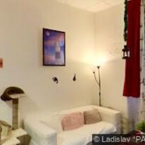 obrazek: avatar ACADEMIA BOHEMICA, o.p.s.