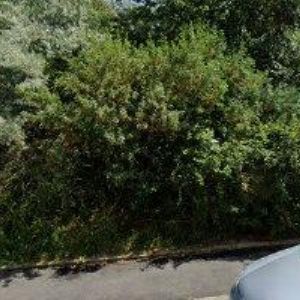obrazek: avatar ŠATAVA JAROSLAV