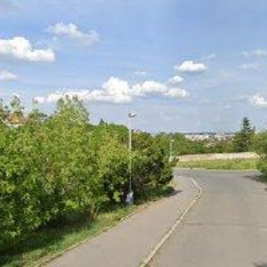 obrazek: avatar WELLIA