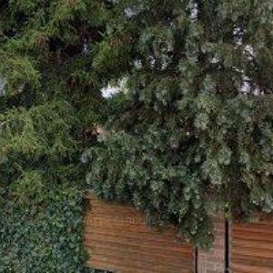 obrazek: avatar ARGOSERVIS-CÍSAŘOVÁ ALICE