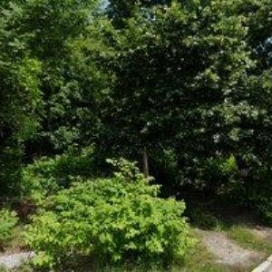 obrazek: avatar SINAI, spol. s r.o.