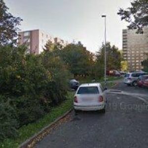 obrazek: avatar KVĚTINY SAFARI