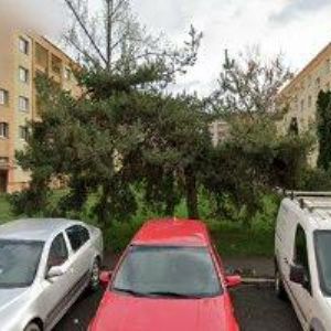 obrazek: avatar JAŇOUR PAVEL