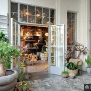 obrazek: avatar MARIO WILD FLOVERS