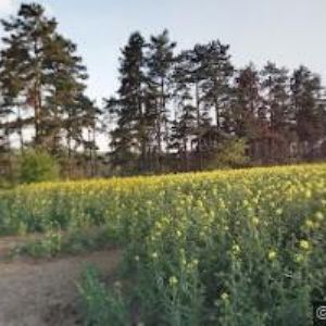 obrazek: avatar DEKORACE ONE s.r.o.