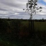 PEN-PROMOTION s.r.o.