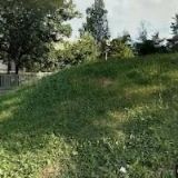 KUNOVJÁNKOVÁ ALENA-RECESE