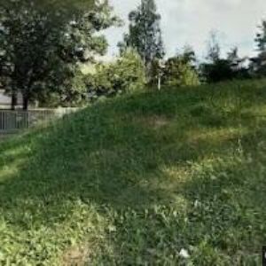 obrazek: avatar KUNOVJÁNKOVÁ ALENA-RECESE