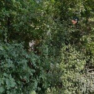 obrazek: avatar ROZNĚTINSKÝ DAVID