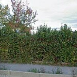 obrazek: avatar AGENTURA NYX, s.r.o.