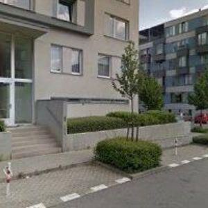 obrazek: avatar VOŽENÍLKOVÁ LUCIE