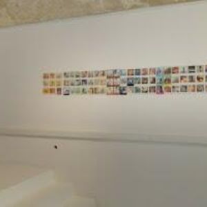 obrazek: avatar POLAGRAPH