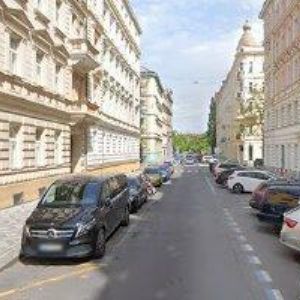 obrazek: avatar PAUKOVÁ PETRA