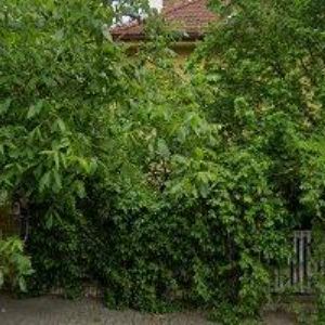 obrazek: avatar FINE PROMO s.r.o.