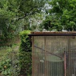 obrazek: avatar JN MODELS