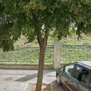 obrazek: avatar BRAŤKOVÁ DANA