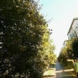 VÁCLAVÍKOVÁ MARTA-PROSTŮL.CZ