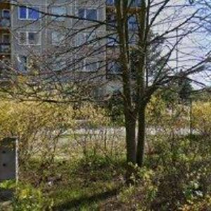 obrazek: avatar ANTRA JEANS s.r.o.