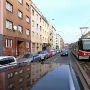 obrazek: avatar FLOCK KING s.r.o.