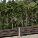 LUXUSSTORE LOGISTIKA s.r.o.