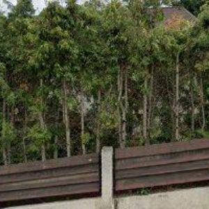 obrazek: avatar LUXUSSTORE LOGISTIKA s.r.o.