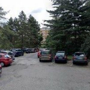 obrazek: avatar ŘÍHOVÁ ANNA