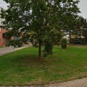 obrazek: avatar MOULÍKOVÁ JANA