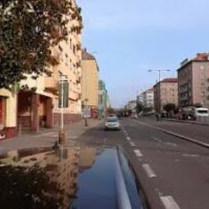 obrazek: avatar JAKEŠOVÁ ŠÁRKA DiS.