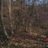 OPTIMAL INTERIER DESIGN, spol. s r.o.