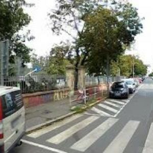 obrazek: avatar TYGR U STROMOVKY s.r.o.