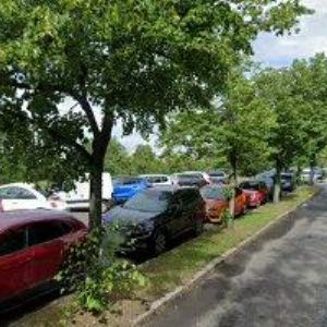 obrazek: avatar ŠVECOVÁ JANA