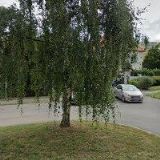 NAVRÁTILOVÁ ELIŠKA DiS.-ODĚVNÍ NÁVRHÁŘKA