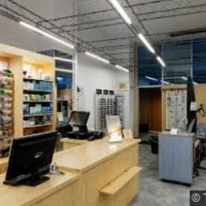 obrazek: avatar AGO D´ORO