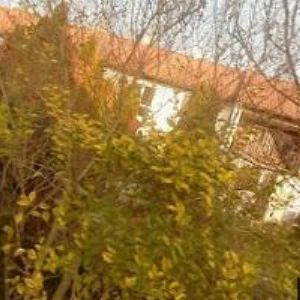 obrazek: avatar BARTÁKOVÁ ZUZANA