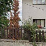 ČESKÁ FEDERACE FREESTYLE DISKU z. s.